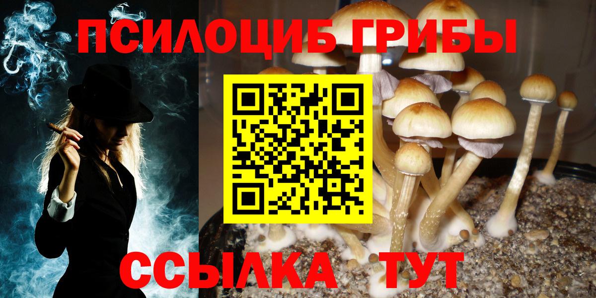 Галлюциногенные грибы MAGIC MUSHROOMS  Вход с VPN  продажа наркотиков  Кизилюрт 